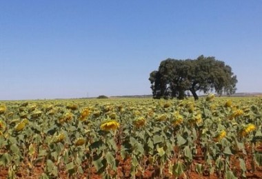 Ferme Corte Ripais