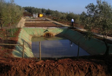 Socit Agricole Herdade do Zambujal