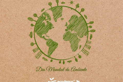 Journée mondiale de l'environnement | La biodiversité est célébrée